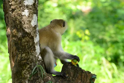 DSC_7927 (Large).JPG